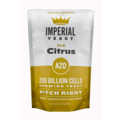 Imperial A20 Citrus Ale Yeast