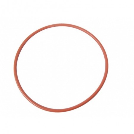 Braumeister Replacement Malt Pipe Gasket - 50 L
