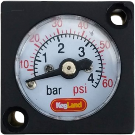Mini Pressure Gauge 0-60 PSI (0-4 BAR)