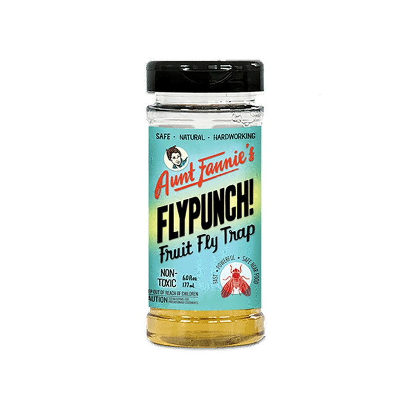 FlyPunch! Fruit Fly Trap - 3-pack