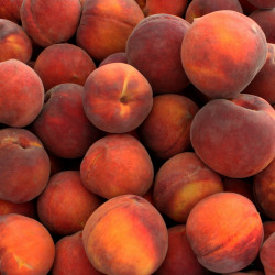 Vintner's Harvest Peach Puree