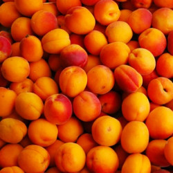Vintner's Harvest Apricot Puree