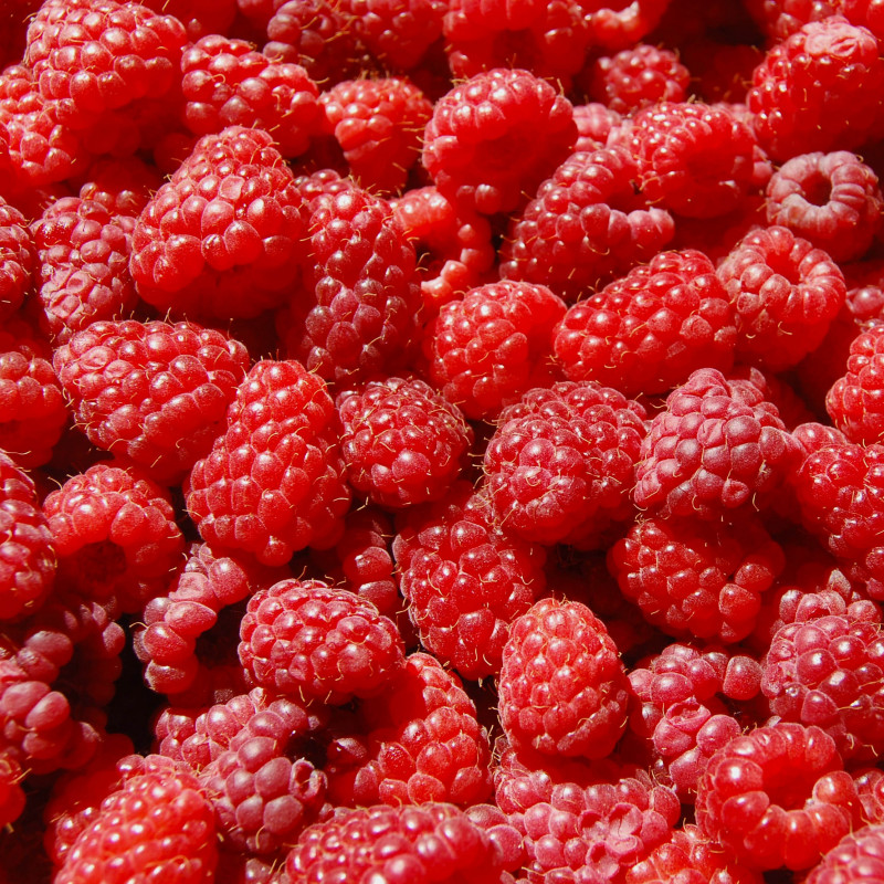 Vintner's Harvest Raspberry Puree