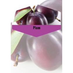 Vintner's Harvest Plum Puree