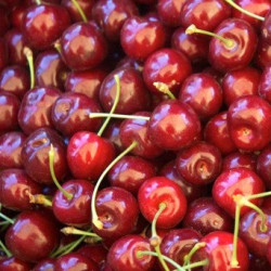 Vintner's Harvest Sweet Cherry Puree