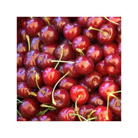 Vintner's Harvest Tart Cherry Puree
