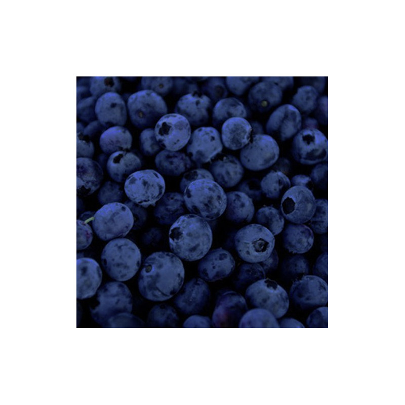 Vintner's Harvest Blueberry Puree