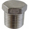 Stainless Hollow Plug - 1/2 in. MPT
