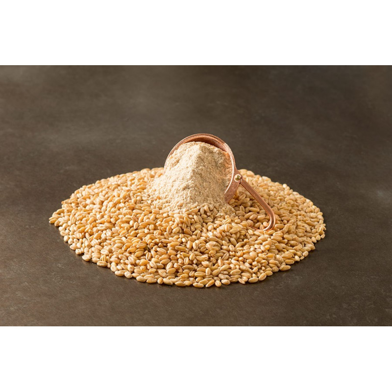Great Western Malting Wheat Unmalted