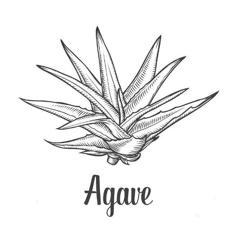 Premium Agave Syrup