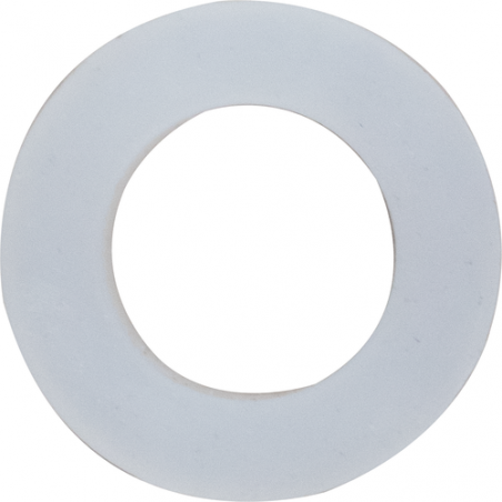 Replacement Gasket for Robobrew / BrewZilla / DigiBoil Ball Valve